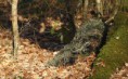 /album/galerie-de-photos-nature-technologie/screenhunter-47-jan-17-20-00-jpg/